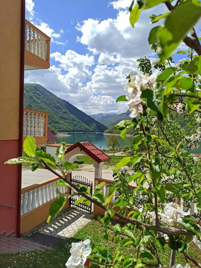 Apartment Lakeview Pluzine Bagian luar foto